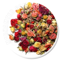غنچه گل نسترن