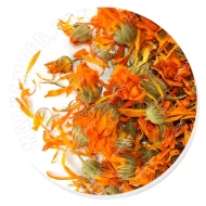 گل همیشه بهار