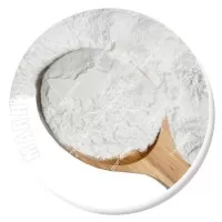 کف دریا