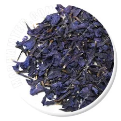 گل گاوزبان