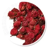 گلنار فارسی