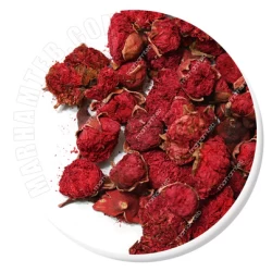 گلنار فارسی